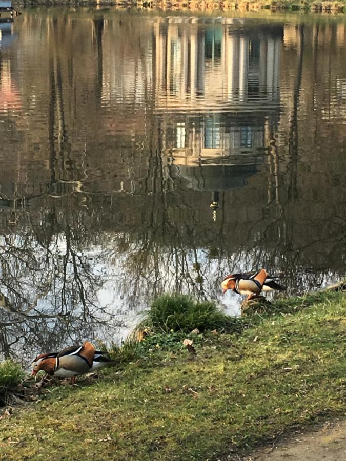 Ferienwohnung Emma Drážďany Exteriér fotografie